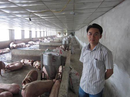 Có bằng thạc sĩ quốc tế, chọn về... nuôi lợn